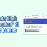 Penyebab “Data Tidak Ditemukan” di Cek Bansos Muncul