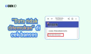 Penyebab “Data Tidak Ditemukan” di Cek Bansos Muncul